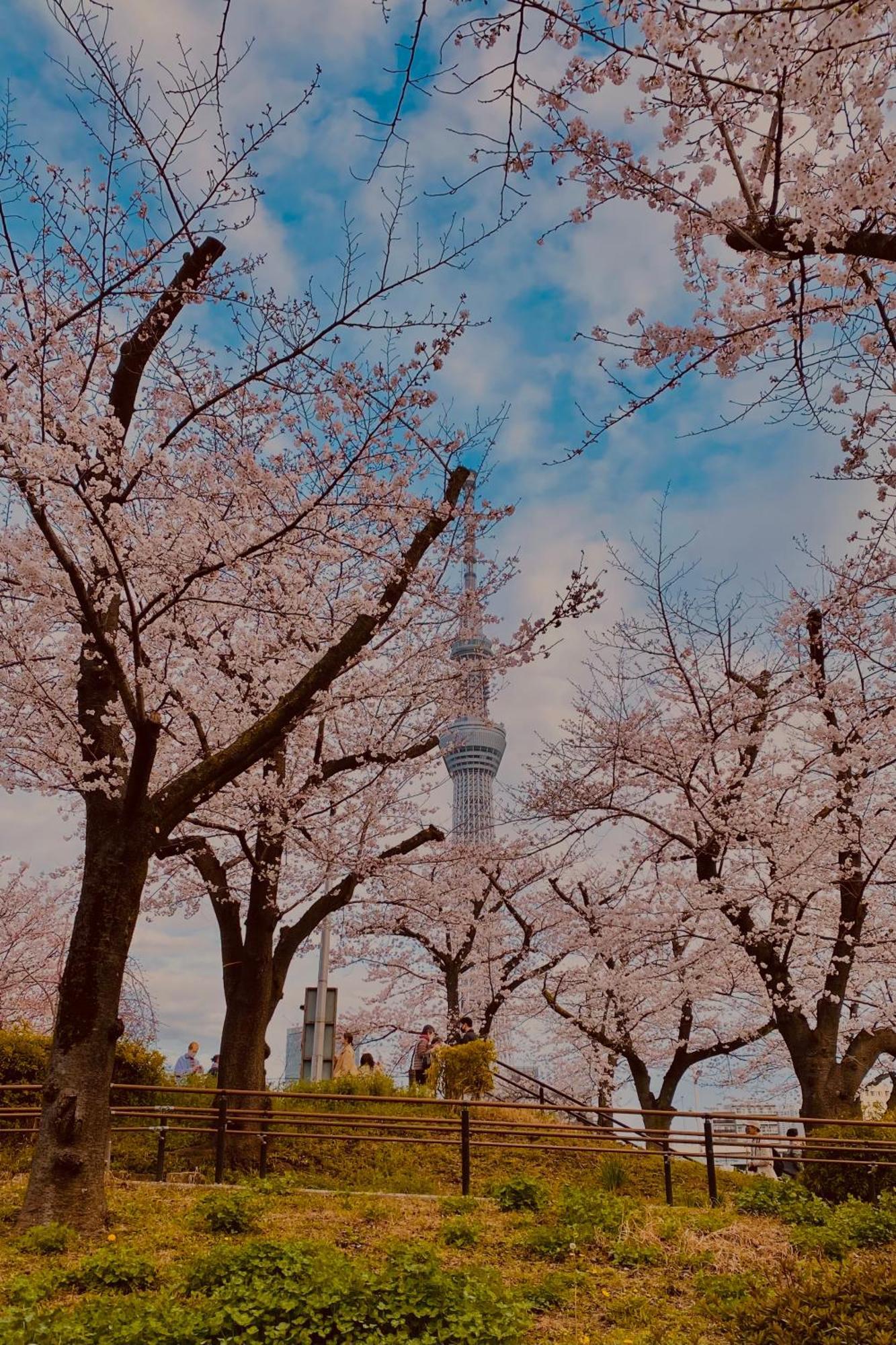 Toe Library Tokyo Asakusa Екстер'єр фото